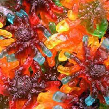 Gummy Tarantulas, Vancouver Online Candy and Stuffed Animal Shop