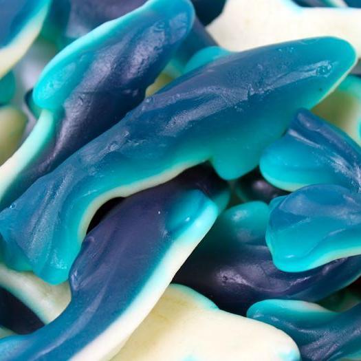 Gummy Blue Sharks, Vancouver Online Candy and Stuffed Animal Shop