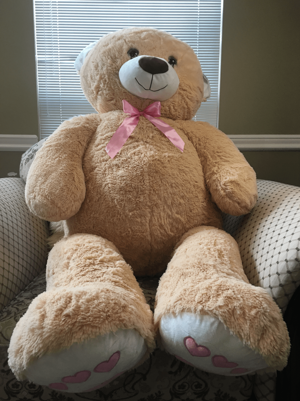 Jumbo Light Brown Teddy Bear 53 Inch free shipping,vansweet.ca