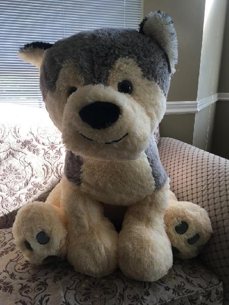 Jumbo Sitting Husky  dog 32 Inch high, Vancouver Online Candy and Stuffed Animal Shop